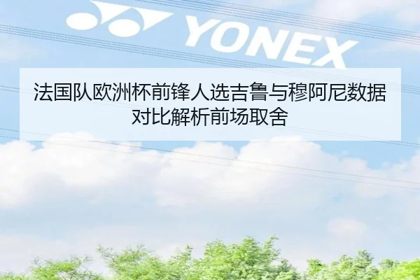 法国队欧洲杯前锋人选吉鲁与穆阿尼数据对比解析前场取舍