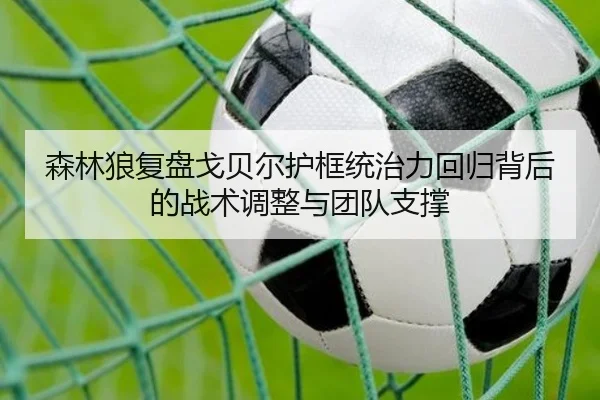 森林狼复盘戈贝尔护框统治力回归背后的战术调整与团队支撑