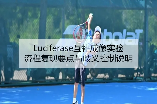 Luciferase互补成像实验流程复现要点与歧义控制说明